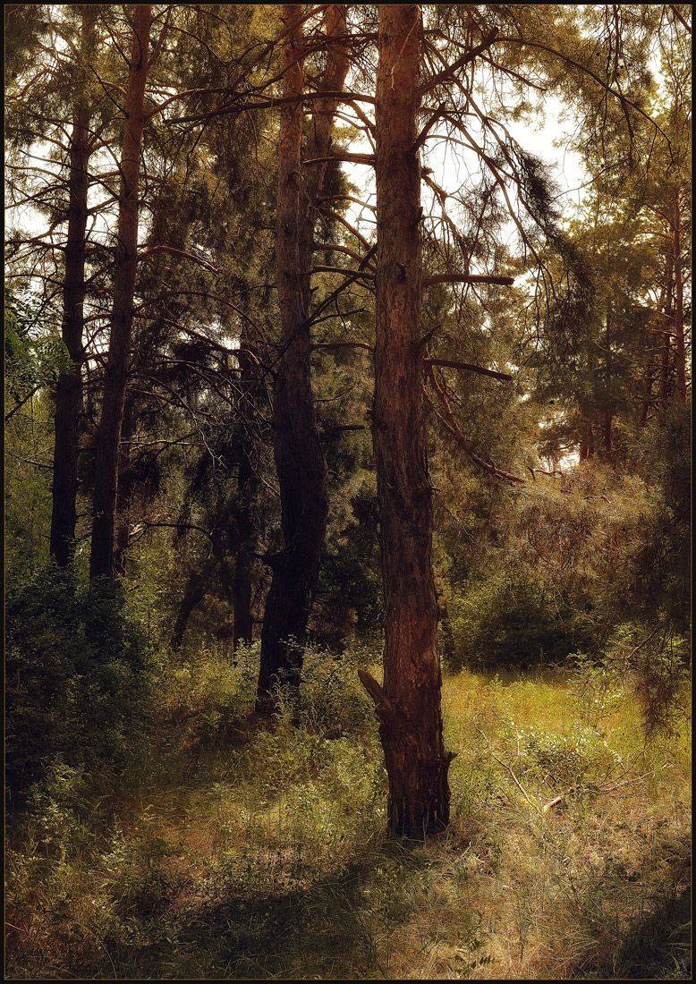 , Александр Хромеев