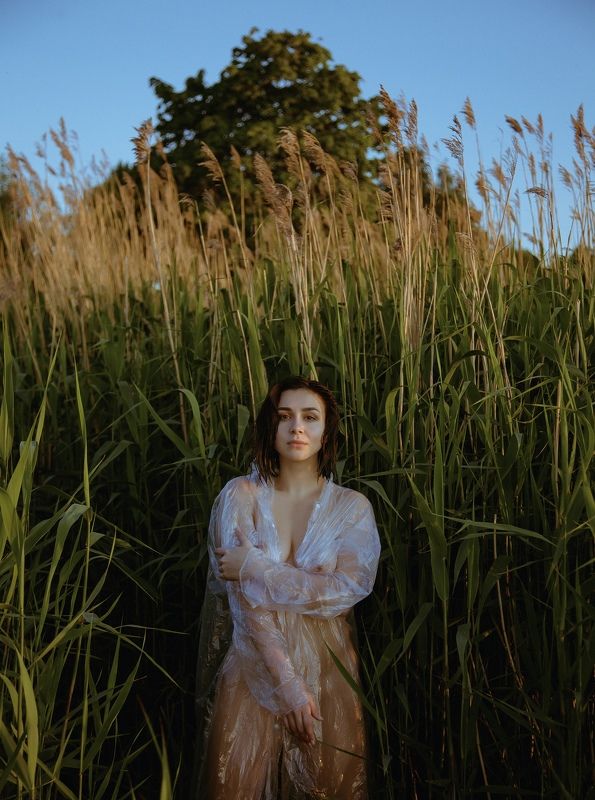 In the bulrushes фото превью