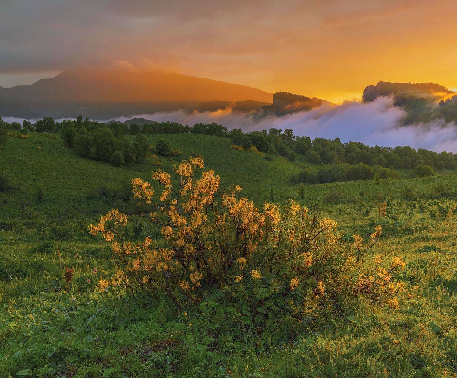Фототуры с Владимиром Рябковым, Бароновы Поляны, #topnature #russpasibo #magic_shots #lovelyRussia #sunset_vision #exclusive_sky  #exclusive_shots #loves_russia2 #photoarena_nature #nature_sultans #nature_perfection #rsa_sky #rsa_sunset #photorussia #rsa_, Владимир Рябков