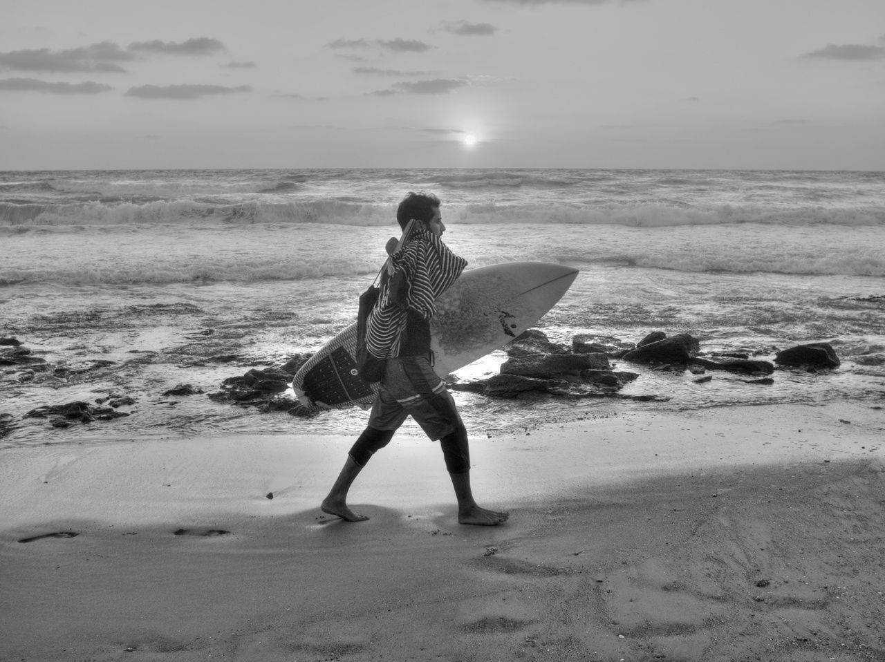, David Solodar
