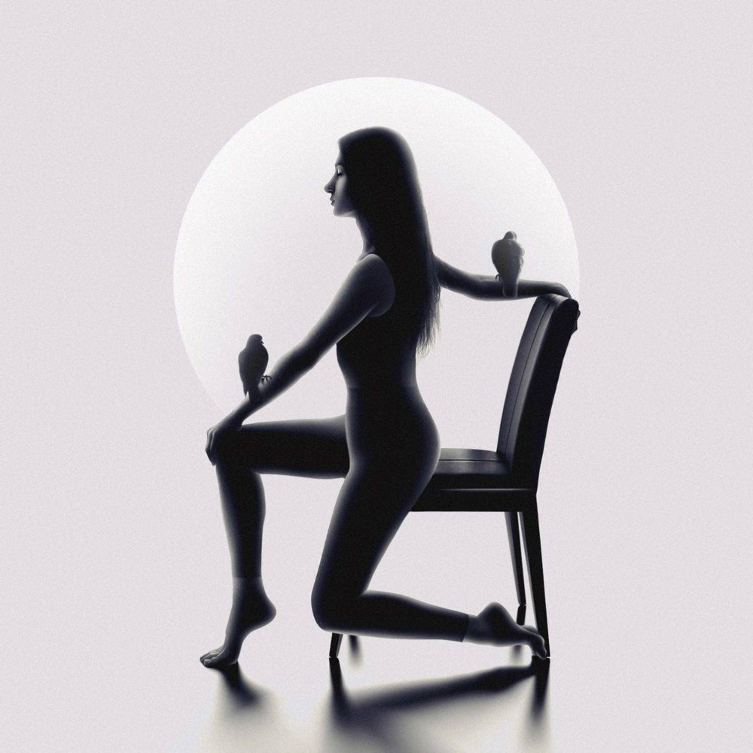 silhouette, dark, light, fine art, art, pigeon, peace, inner peace, surreal, minimalism, balance, Nur Ernehir