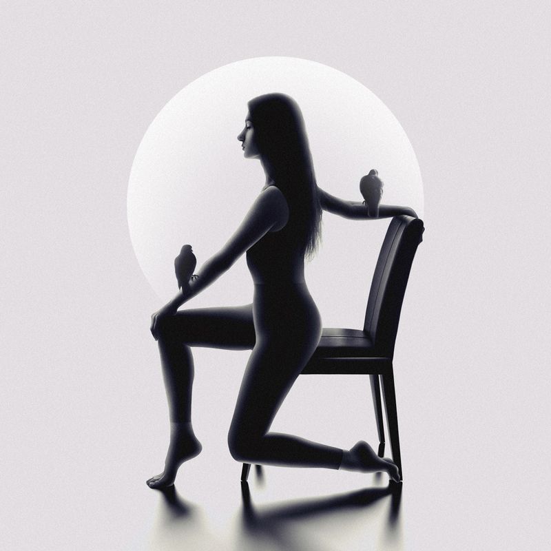 silhouette, dark, light, fine art, art, pigeon, peace, inner peace, surreal, minimalism, balance Peace of Mind фото превью