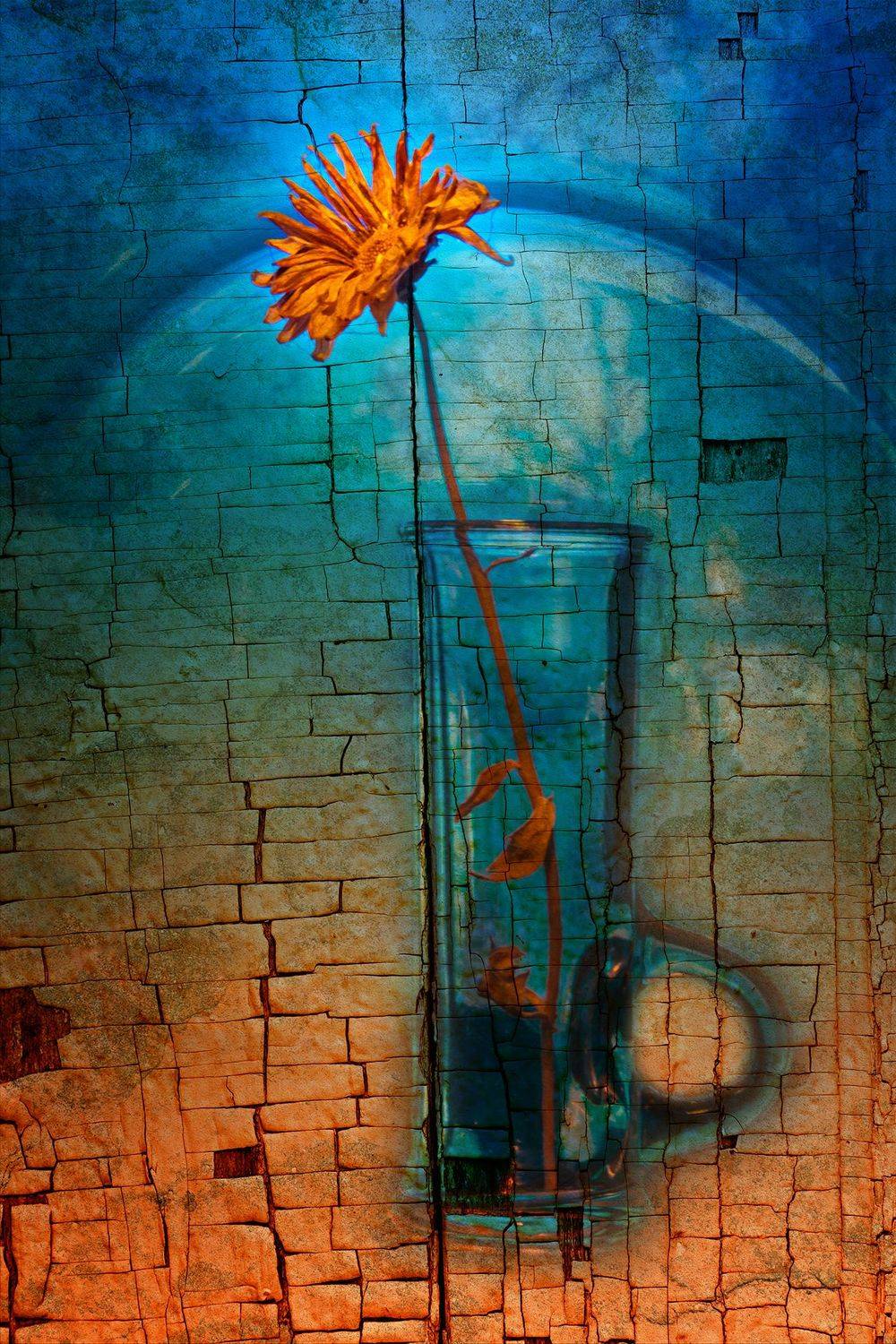 color, colors, color image, digital, editing, photography, still life,, Dr Didi Baev