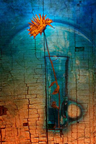 Fragile