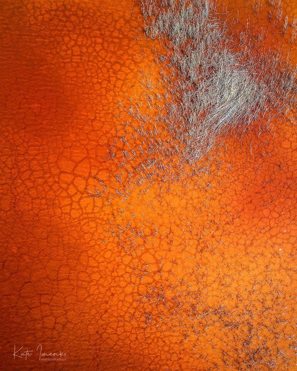 , Екатерина Ионенко