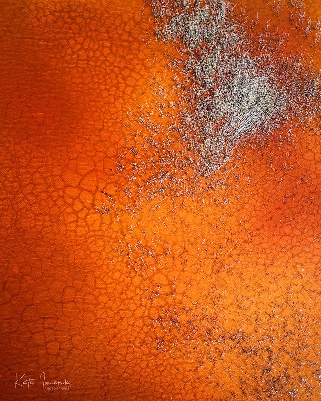 Кожа земли фото превью