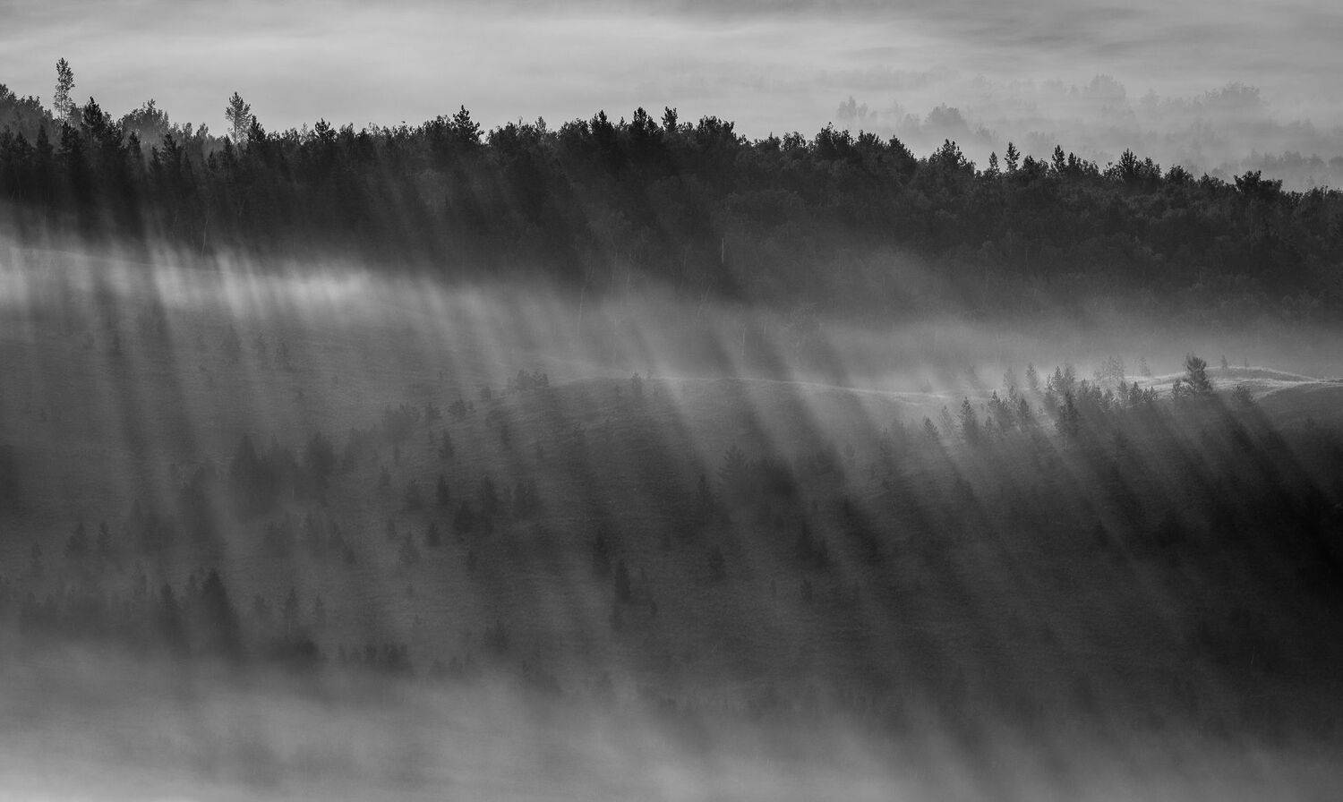 , Евгений Гецев