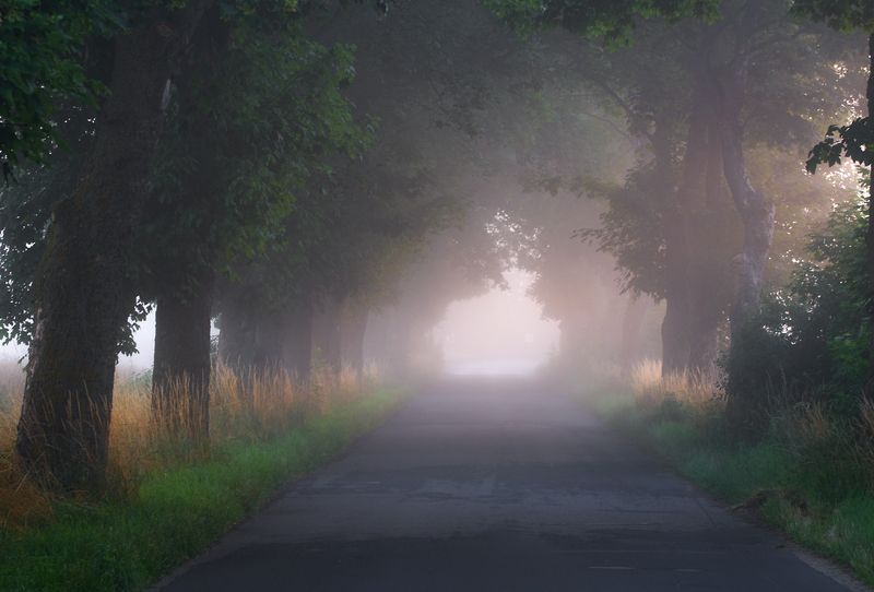 way home.... фото превью