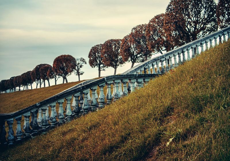 дерево, деревья, диагональ, лестница, парк, трава диагональ фото превью