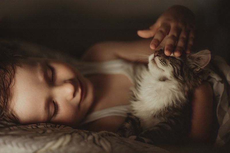 Новый член семьи фото превью