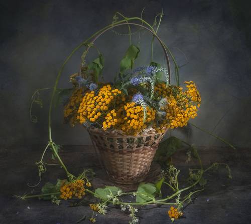 Полевой букет