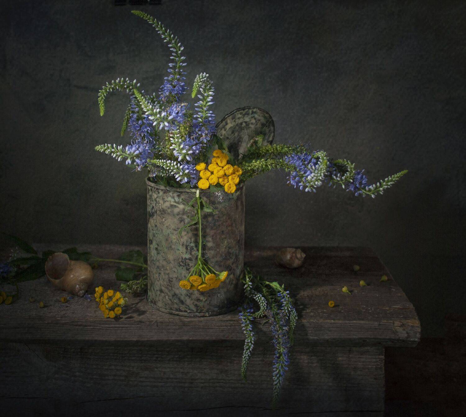 ржавая банка,полевой букет,цветы,пижма,жёлтые,лето,скамья,ракушки, Владимир Володин