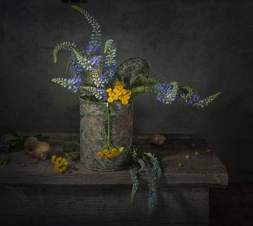 В старой банке