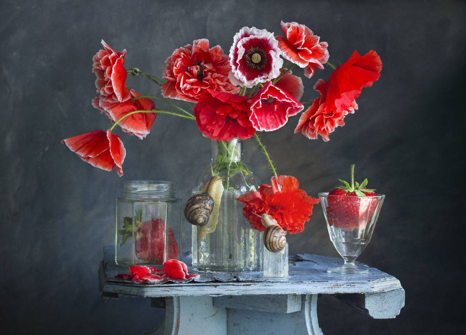 маки, улитки, клубника, натюрморт, Лионелла Зимина