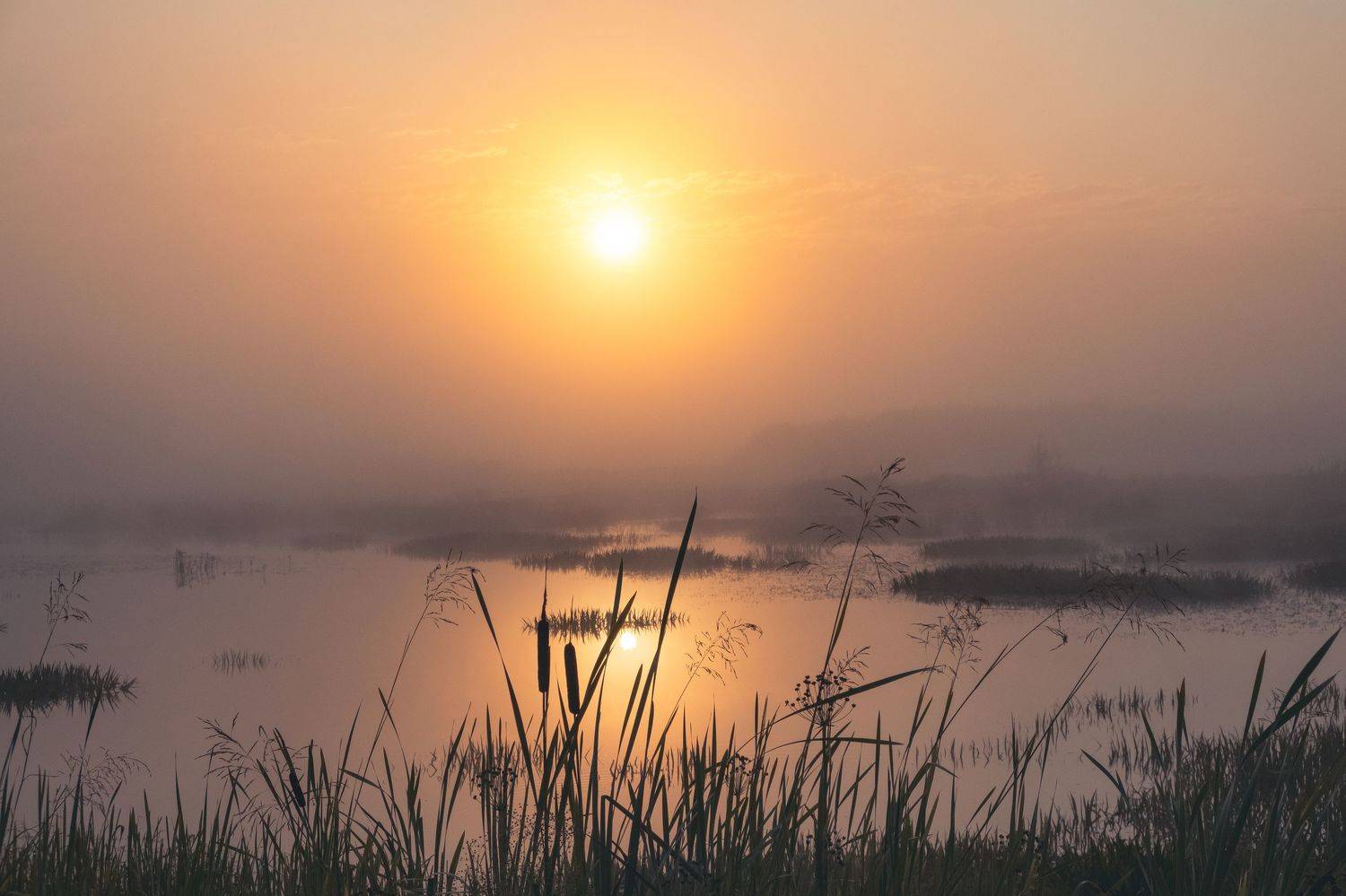 , Екатерина