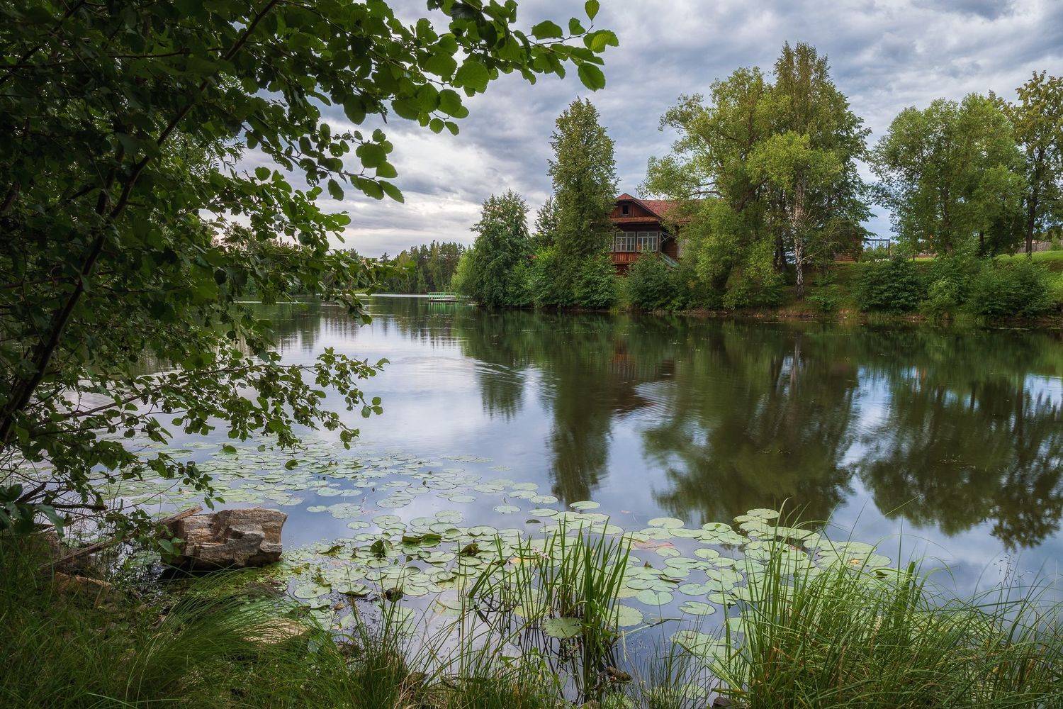 дом вода деревья, Евгений Гецев