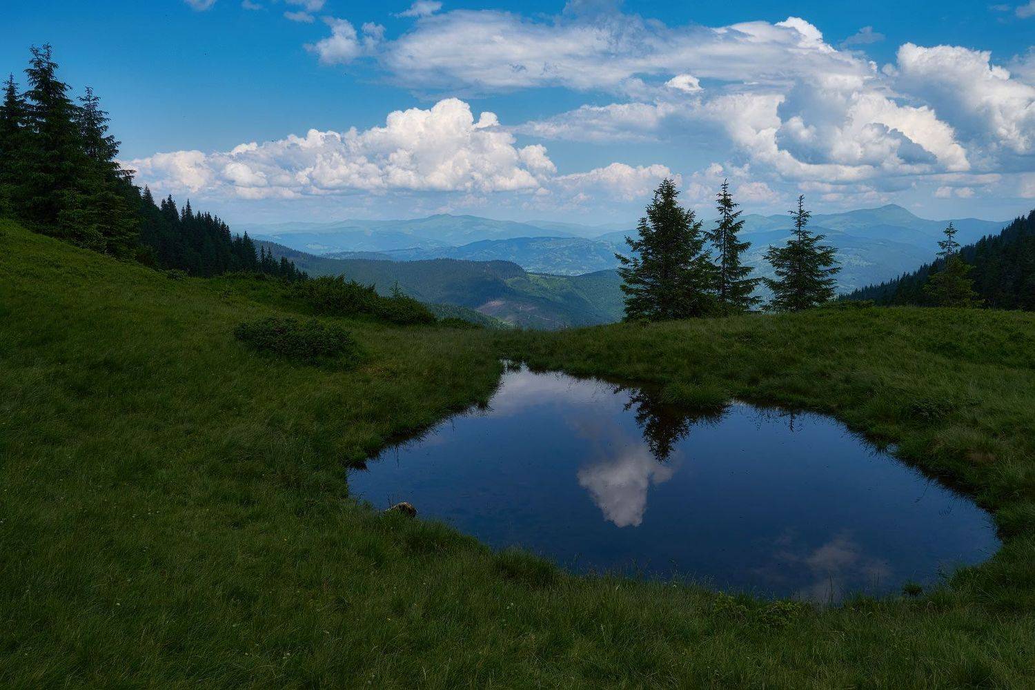 #nature, #туман, #лес, #oсень, #украина, #карпаты, #пейзаж, #закат, #туман, #солнце, #свет, #mountain range, #mountains, #туризм, #лес, #nature, #природа,, Леонид Морозов