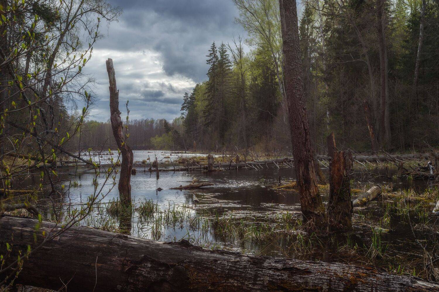 , Сергей Сергеев