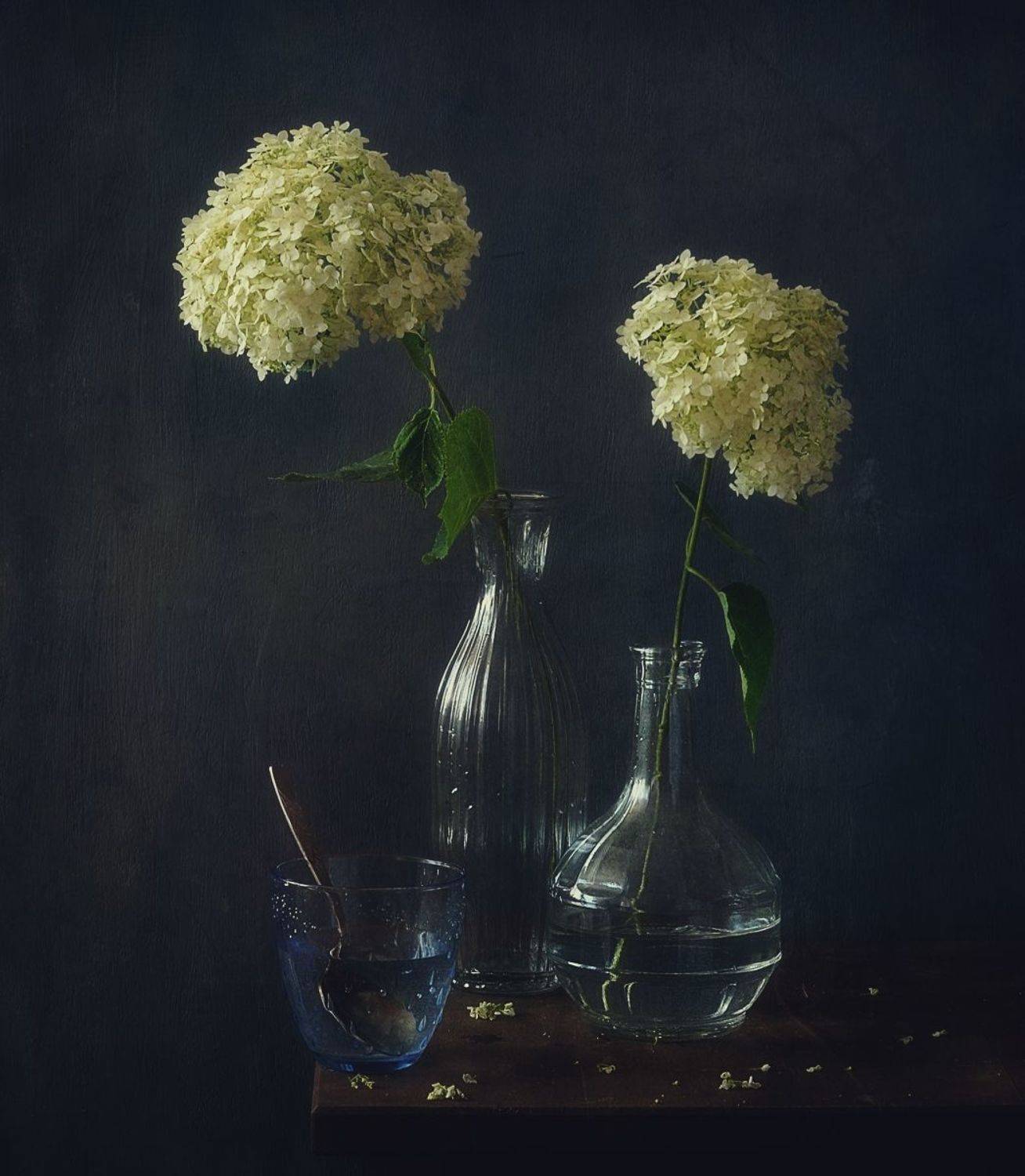 натюрморт,цветы,гортензия,стекло, Наталия К