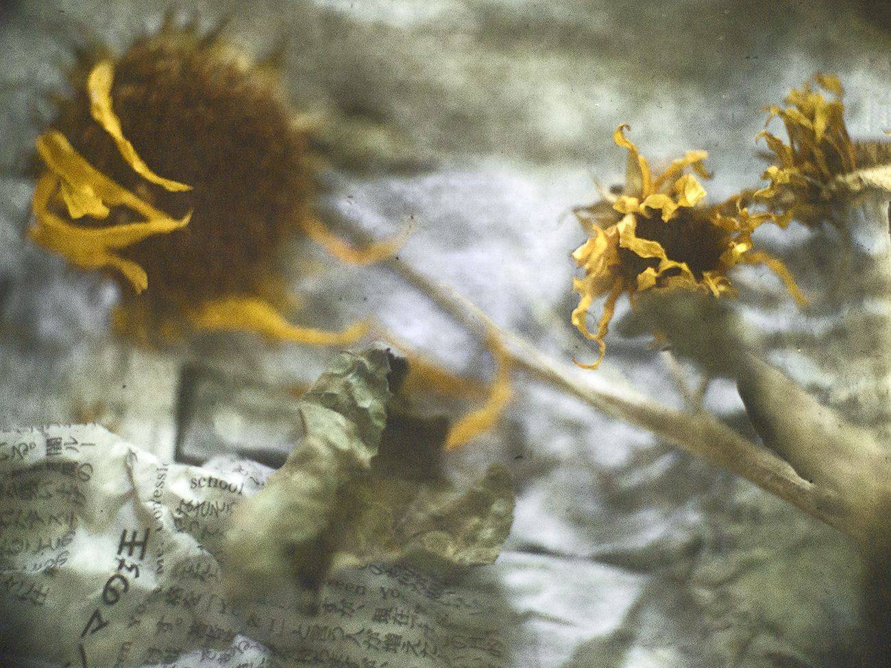 , Татьяна Аверина