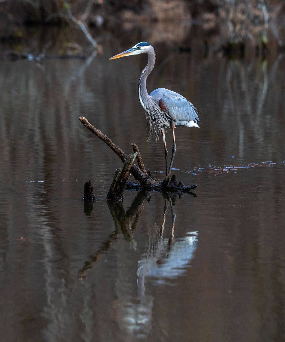 , Леонид Дьяченко