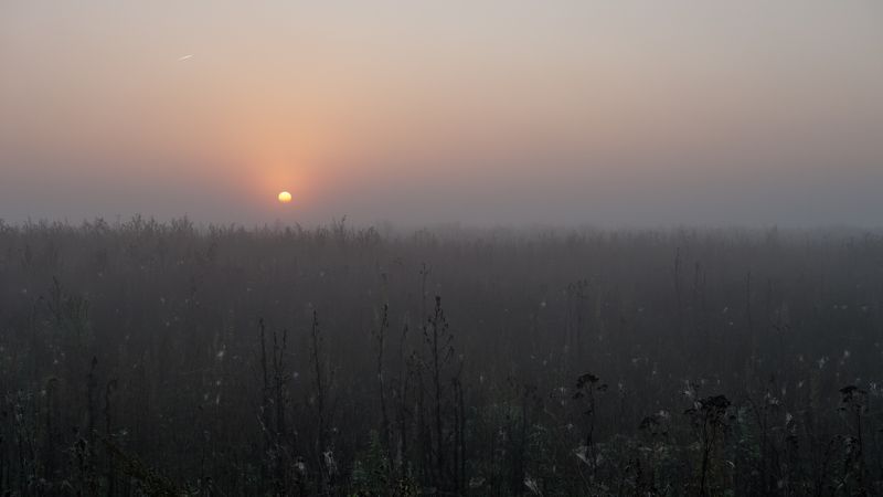 Туманное утро фото превью