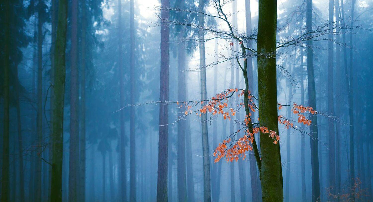 landscape,autumn,canon,mountains, Iza i Darek Mitręga