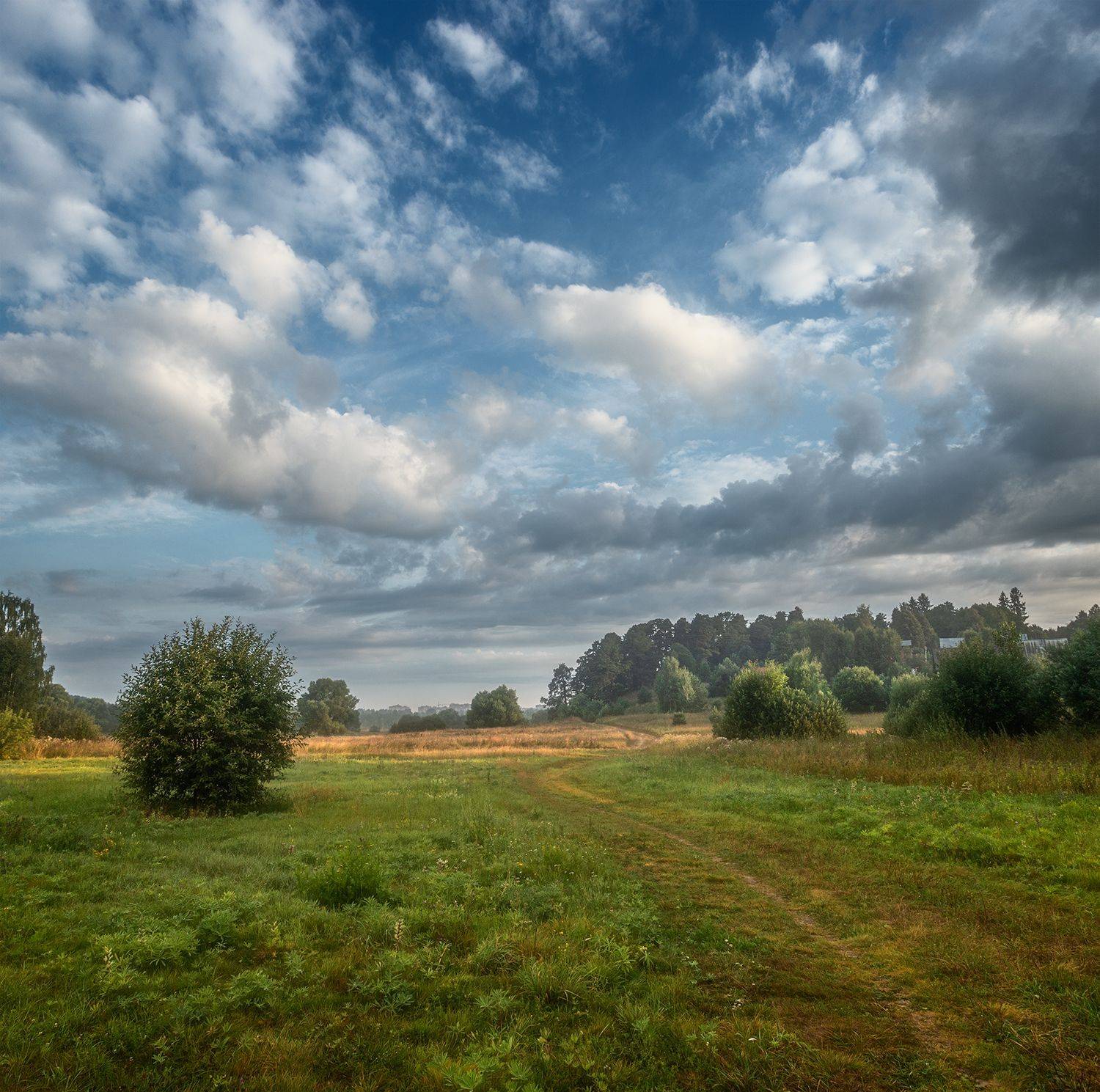, Николай Андреев