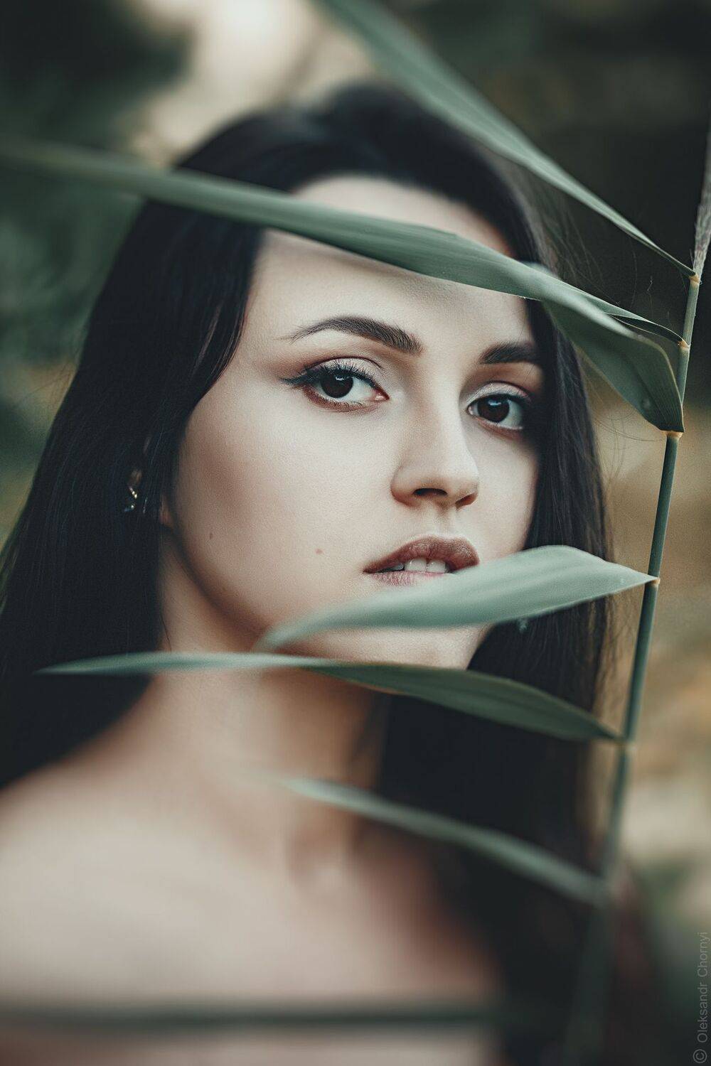 потрет, девушка, глаза, лето, нежность, вдохновение, жизнь, любовь, украина, коростышев, фотограф чорный,, Александр Чорный