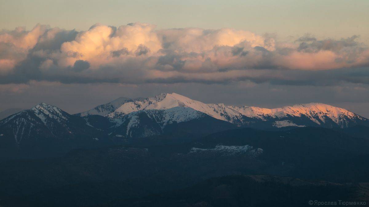 , Ярослав Тюрменко (Jaremi)