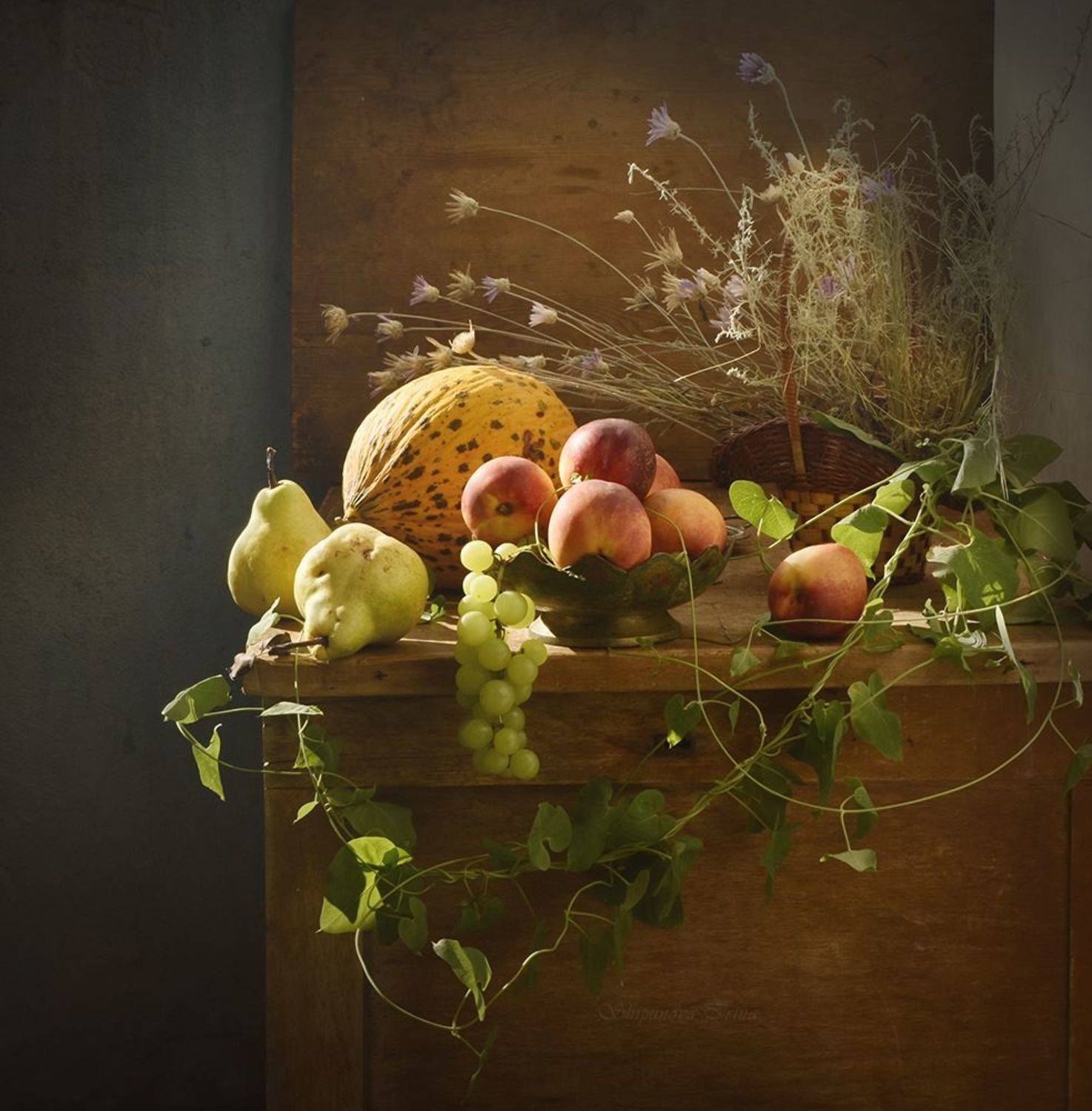 , Шипунова Ирина