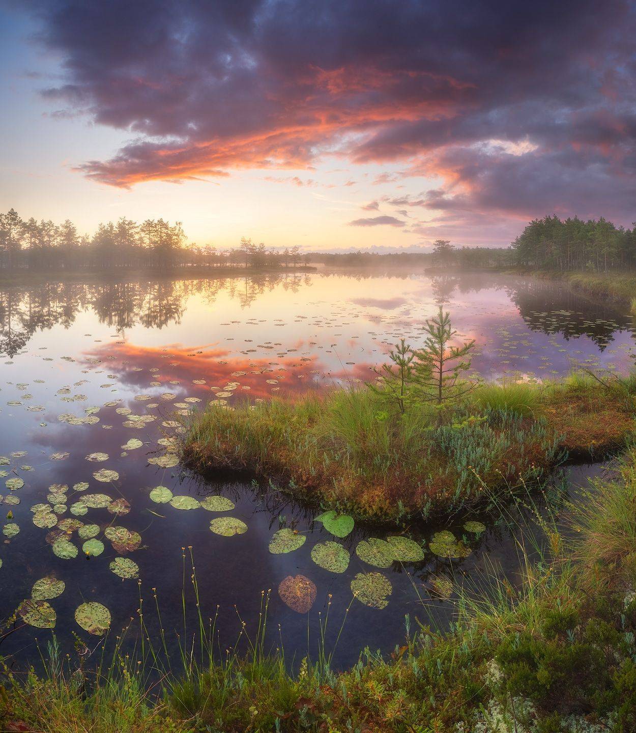 болото, ленобласть, рассвет, Алексей Марголин