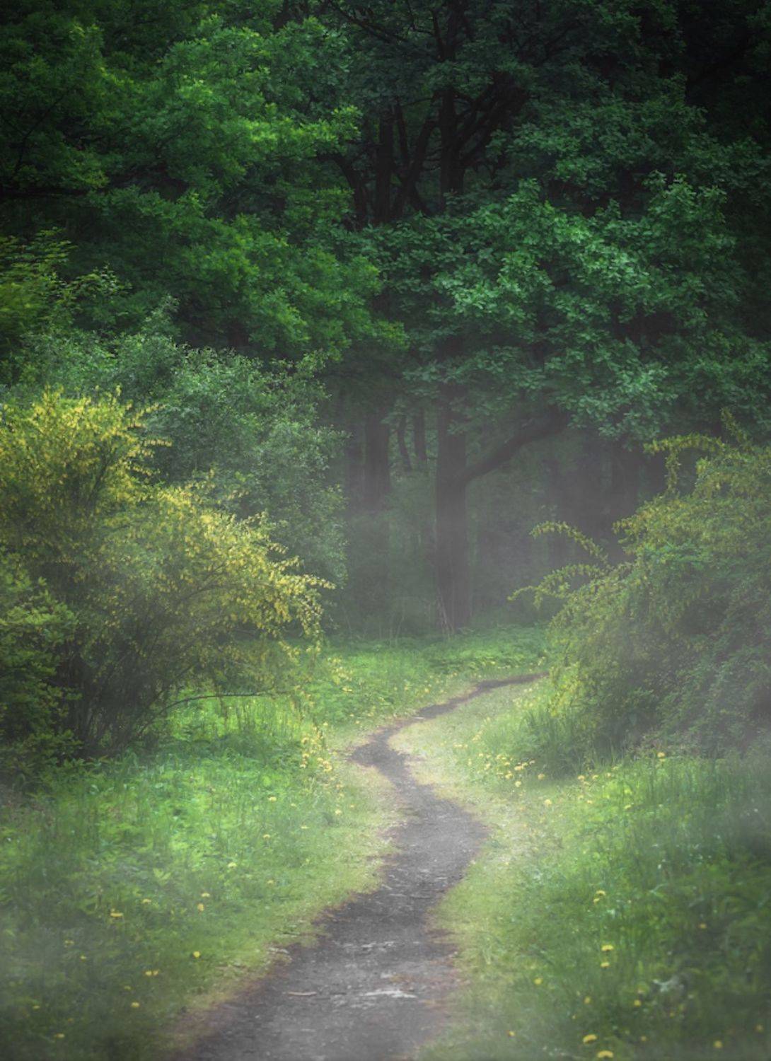 природа, nature, landscape, пейзаж, Julia Kaissa