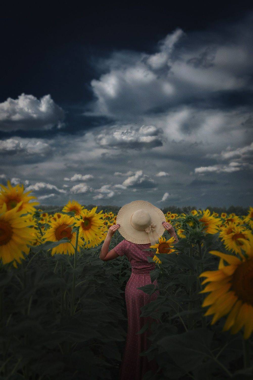 фотограф тула, фотограф максим емельянов, maxfot, Максим Емельянов