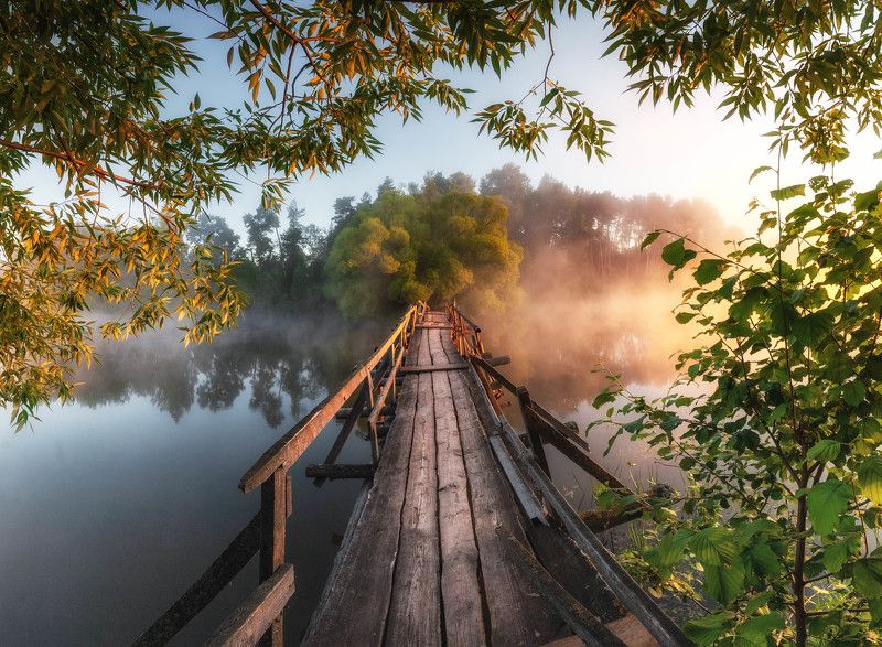 на границе света фото превью