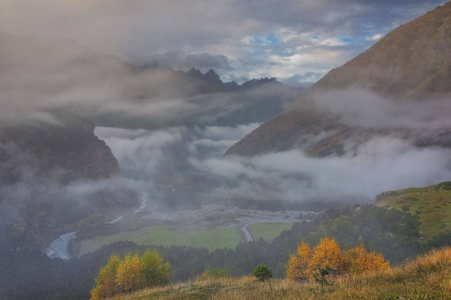 уштулу. кбр., ДМИТРИЙ ПУЗЕНКО