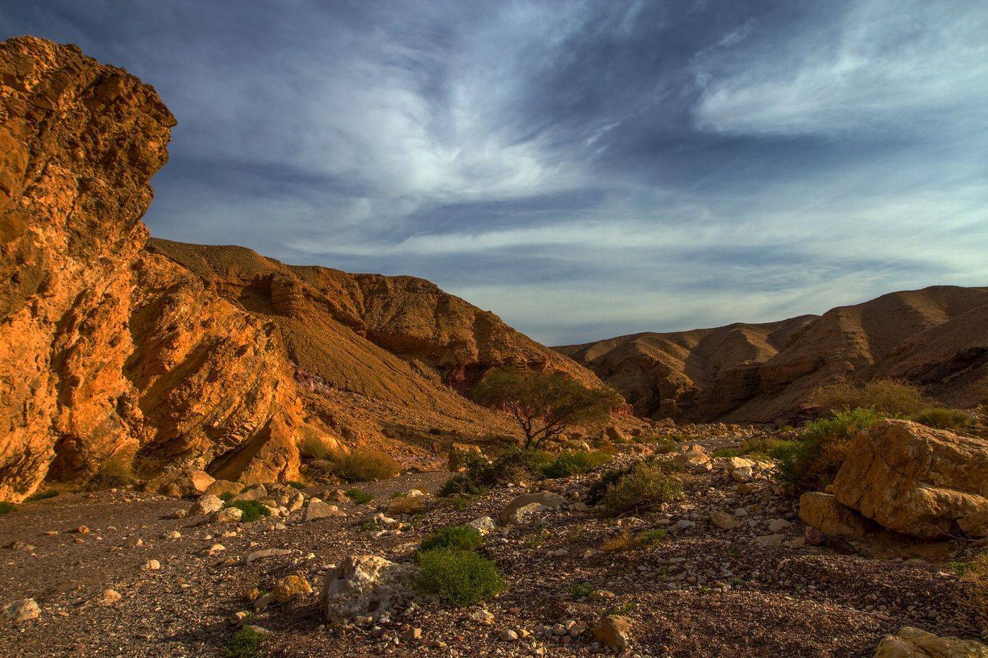 , Валентина Булкина