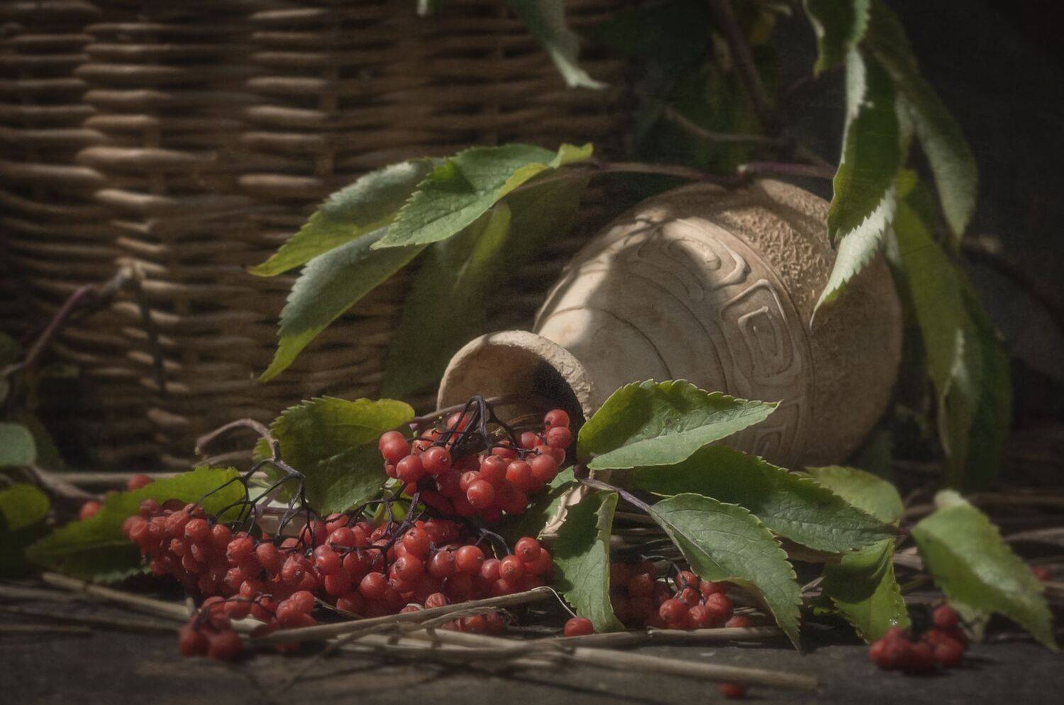 красные ягодки,корзина,ваза,гроздь,лето, Владимир Володин