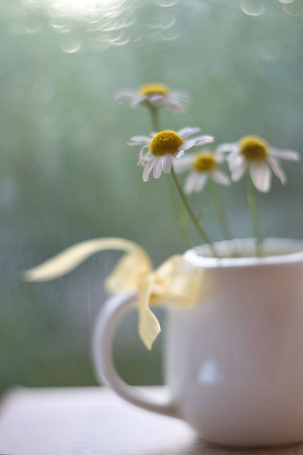 ромашки, июльское, жизнь, о душе, там где живет любовь,ирина горюкина, Ирина Горюкина