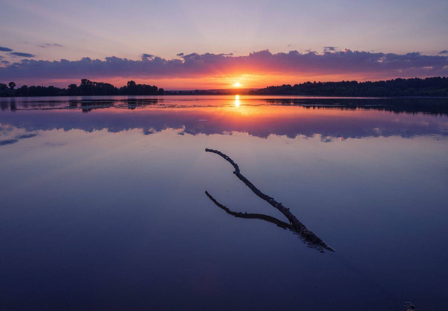, Андрей Хаймин