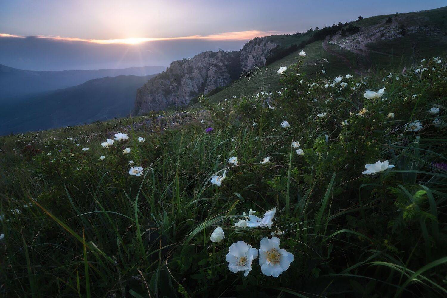 крым, Владимир Ляпин