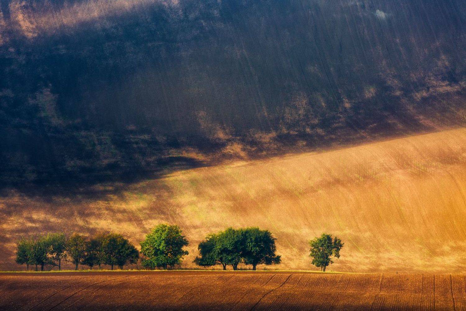 landscape,autumn,moravia,canon, Iza i Darek Mitręga