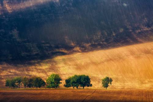 Touch of Autumn...