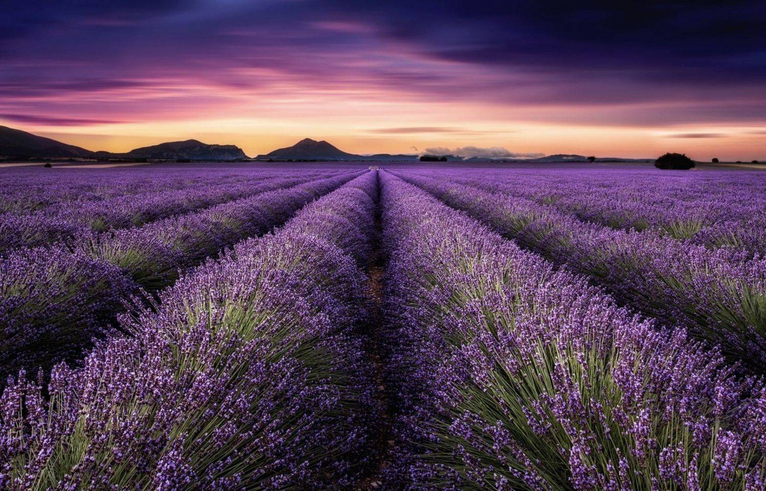 , Руслан Кошурба