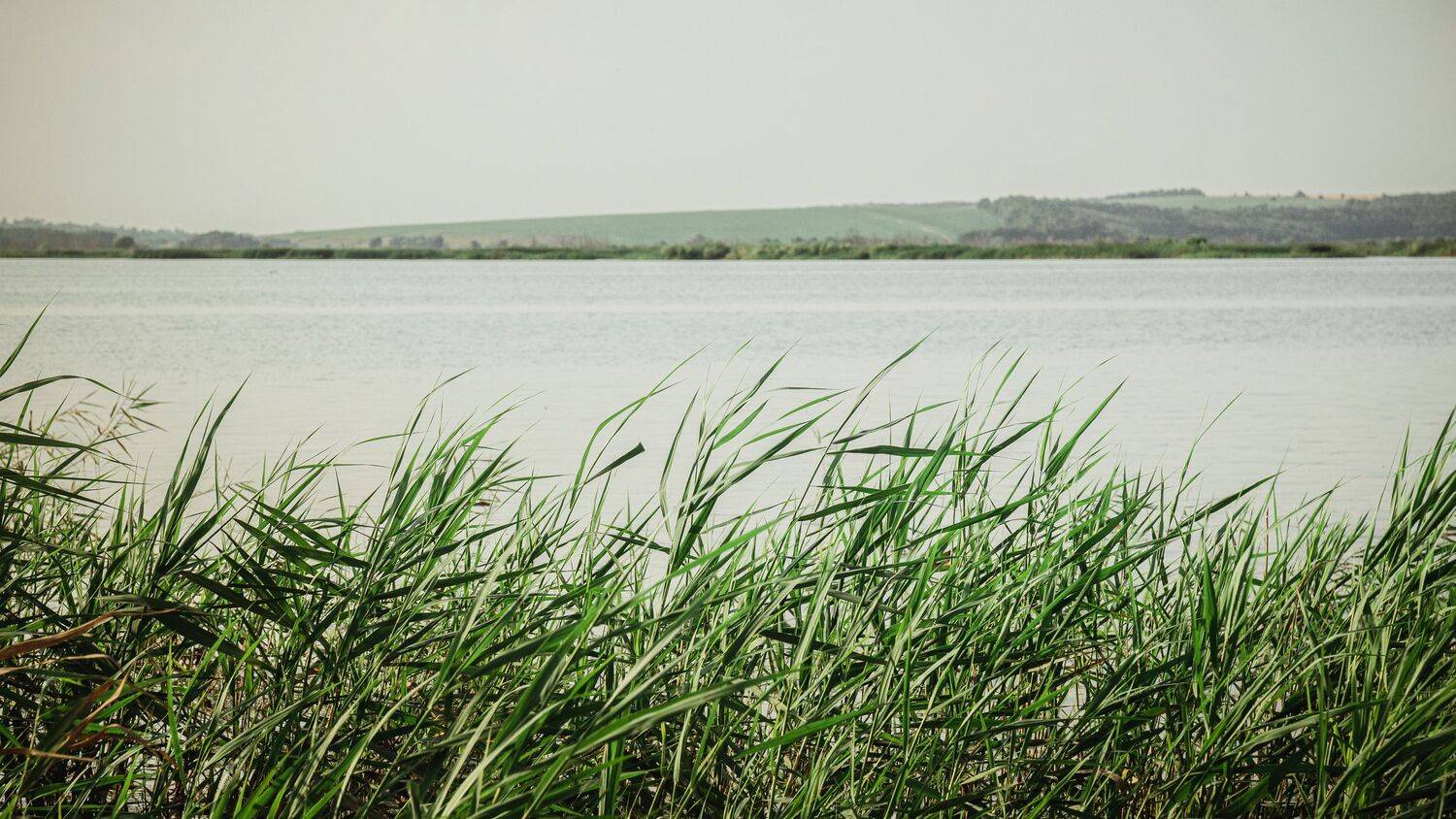 , Юрий Вертиков