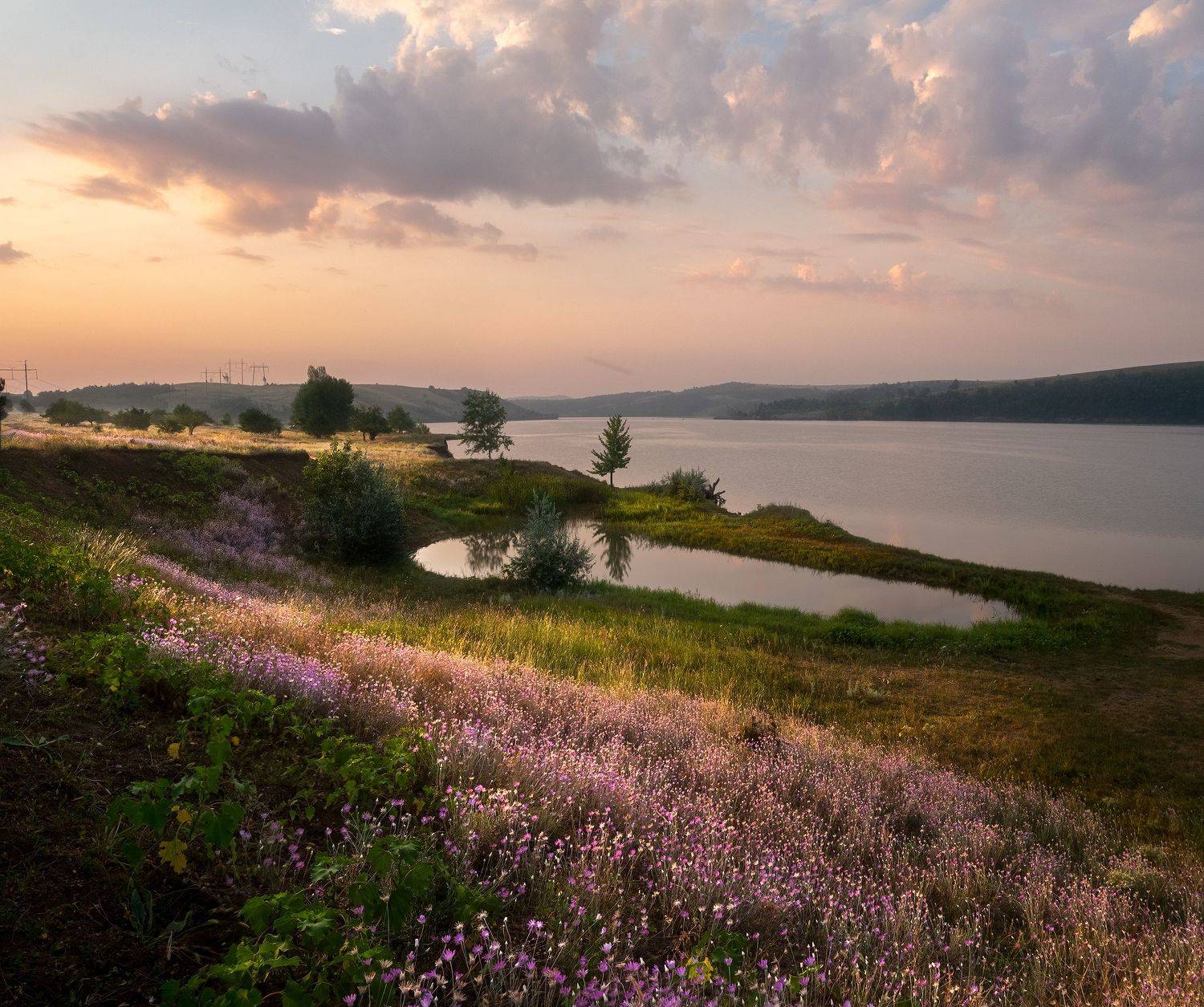 , Дитковский Евгений