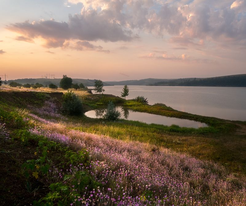 #ProLake фото превью