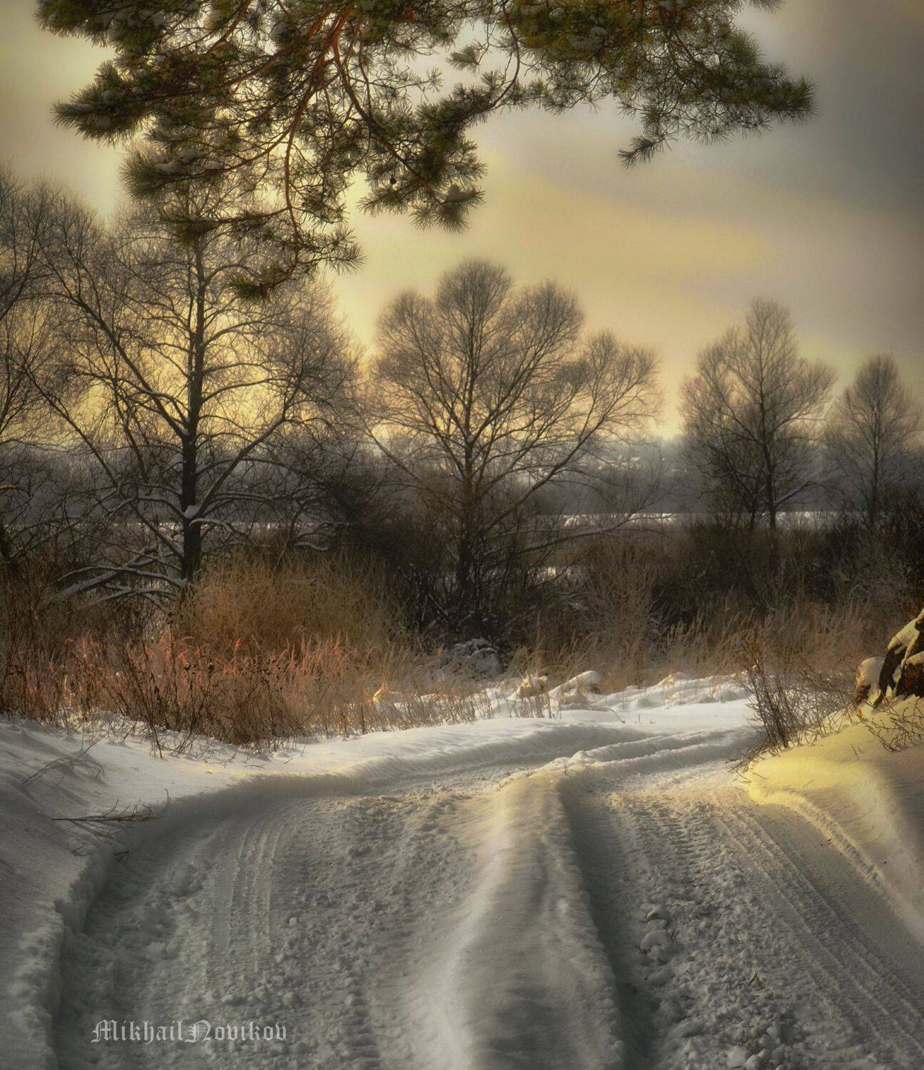 , Михаил Новиков