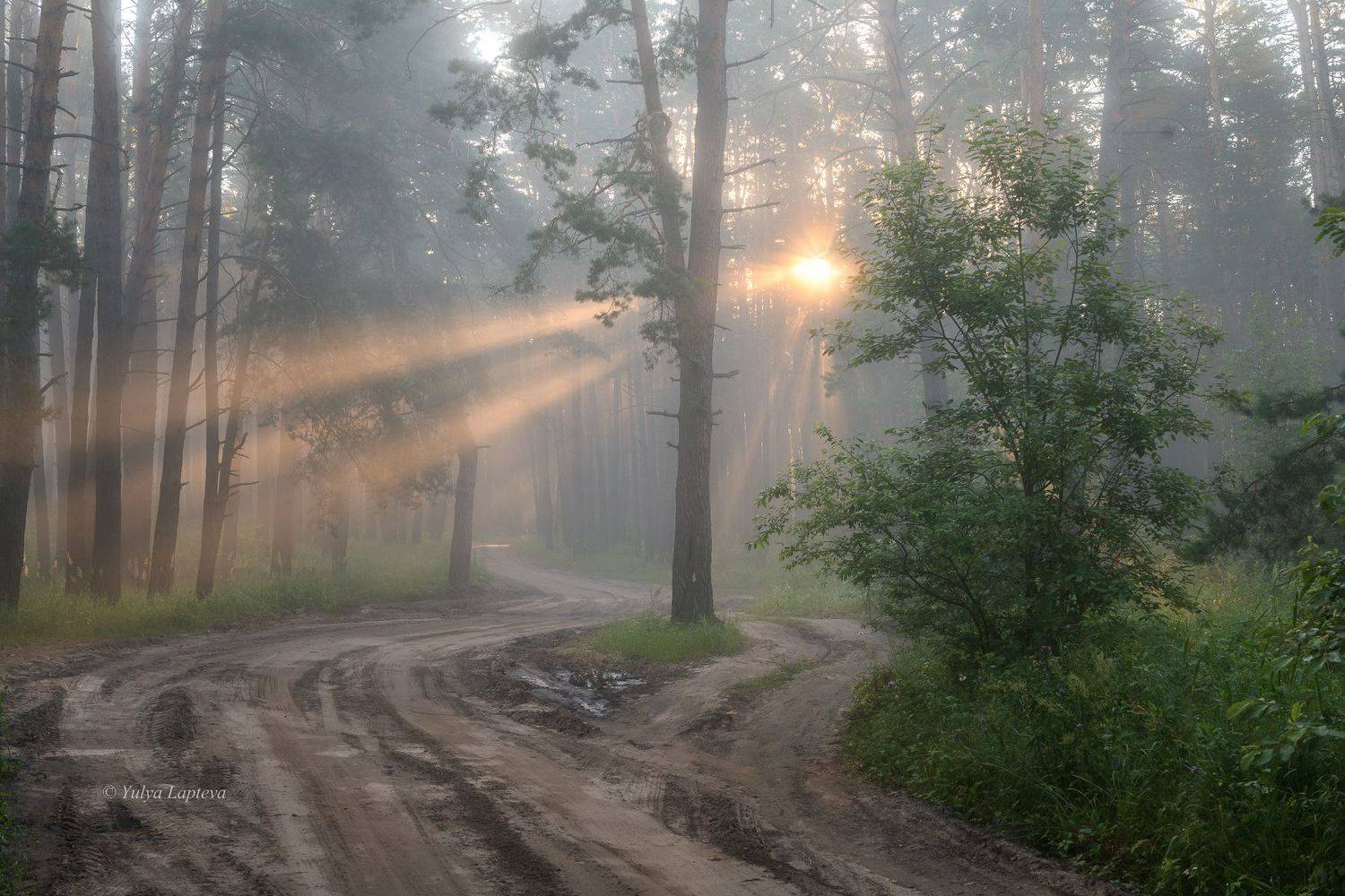 , Юлия Лаптева