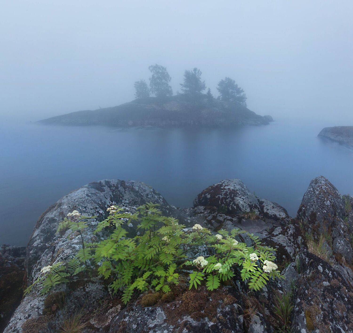 ладога, белые ночи, шхеры, рассвет ,карелия, ладожское озеро, туман, лето, монохром, Павел Ващенков